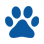paw-Mar-01-2025-07-35-13-8133-PM